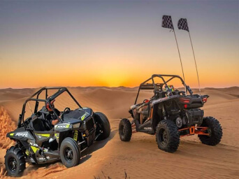 Dune Buggy Tour 365